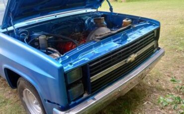 Chevrolet-C10-pickup-1983