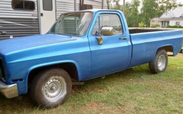 Chevrolet-C10-pickup-1983-4