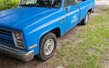 Chevrolet-C10-pickup-1985-1