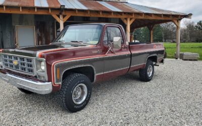 Chevrolet C/K Pickup 1500  1979 à vendre