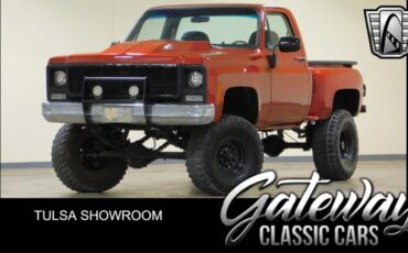 Chevrolet C/K Truck  1979