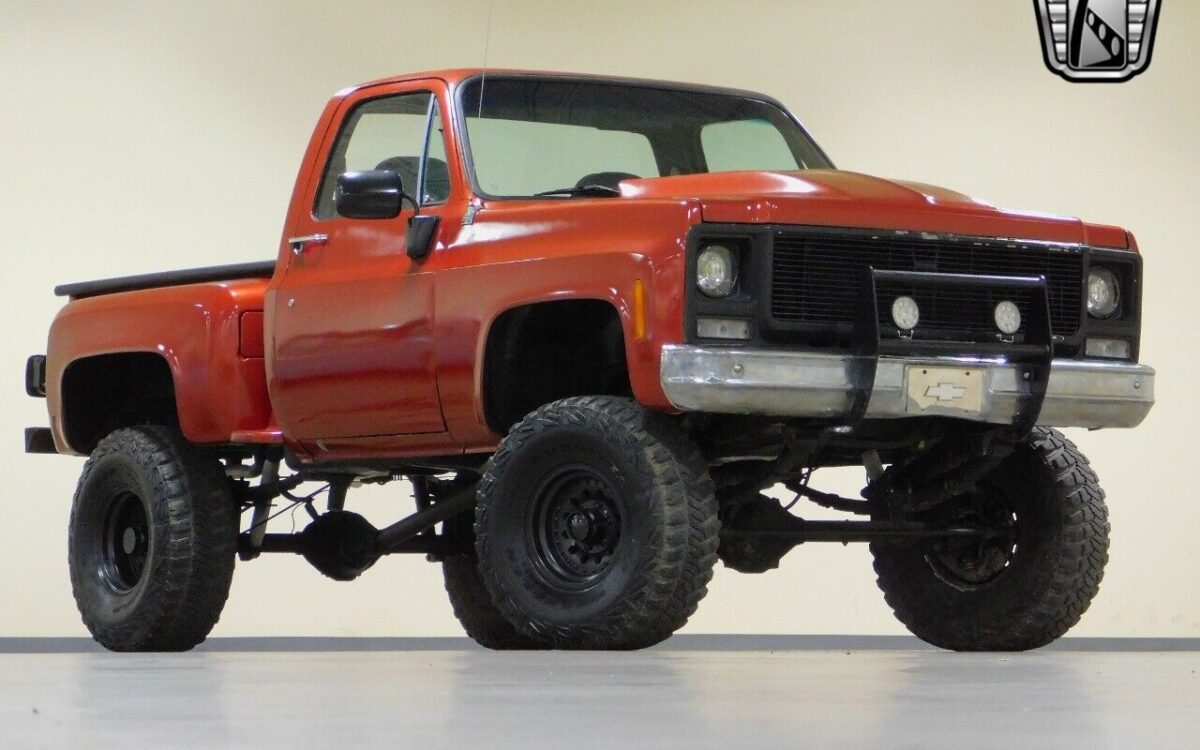 Chevrolet-CK-Truck-1979-6