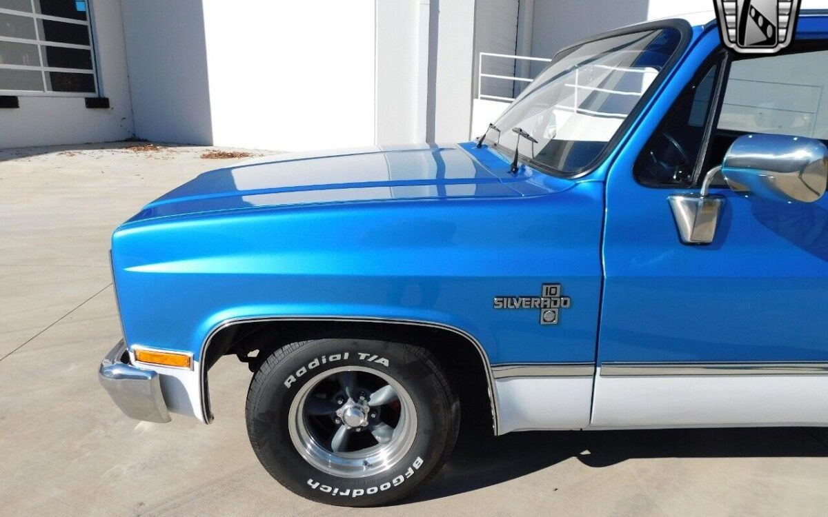 Chevrolet-CK-Truck-1982-5