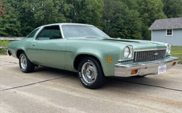 Chevrolet-Chevelle-1973-3