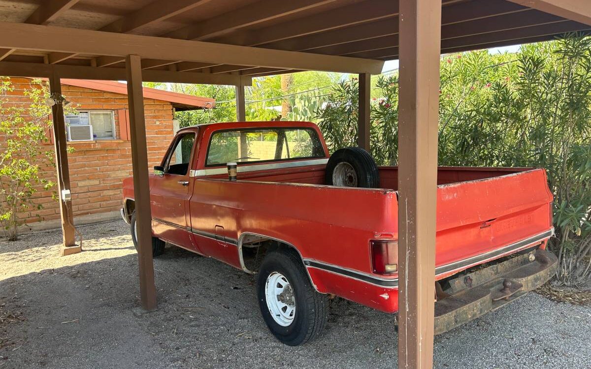 Chevrolet-Ck-pickup-12-ton-1984-2