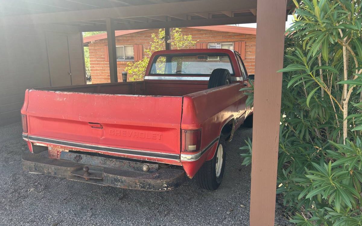 Chevrolet-Ck-pickup-12-ton-1984-4