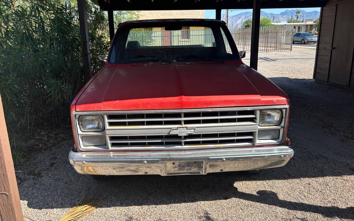 Chevrolet-Ck-pickup-12-ton-1984-6