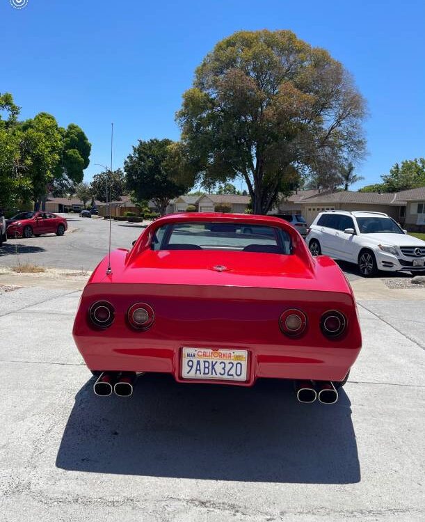 Chevrolet-Corvette-1976-3