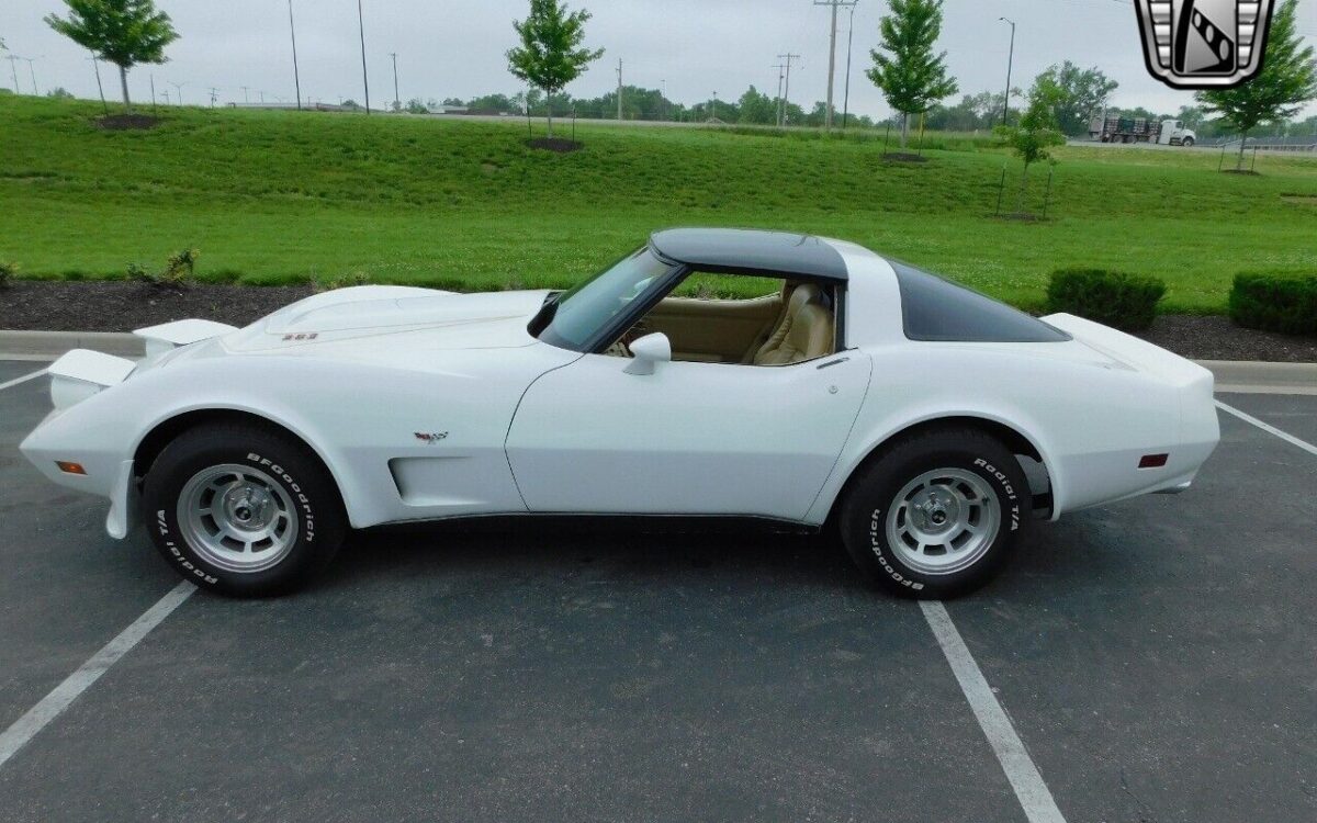 Chevrolet-Corvette-1979-9