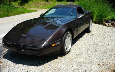 Chevrolet-Corvette-1989-8