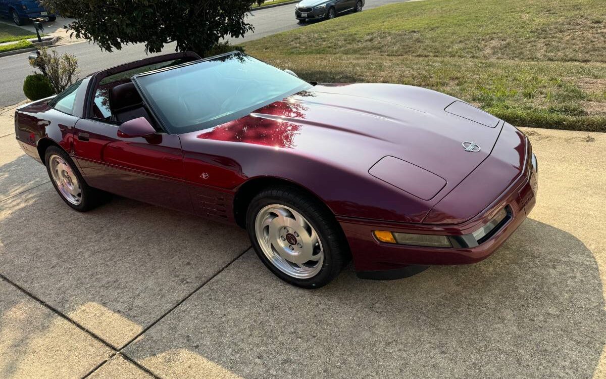 Chevrolet-Corvette-1993-5