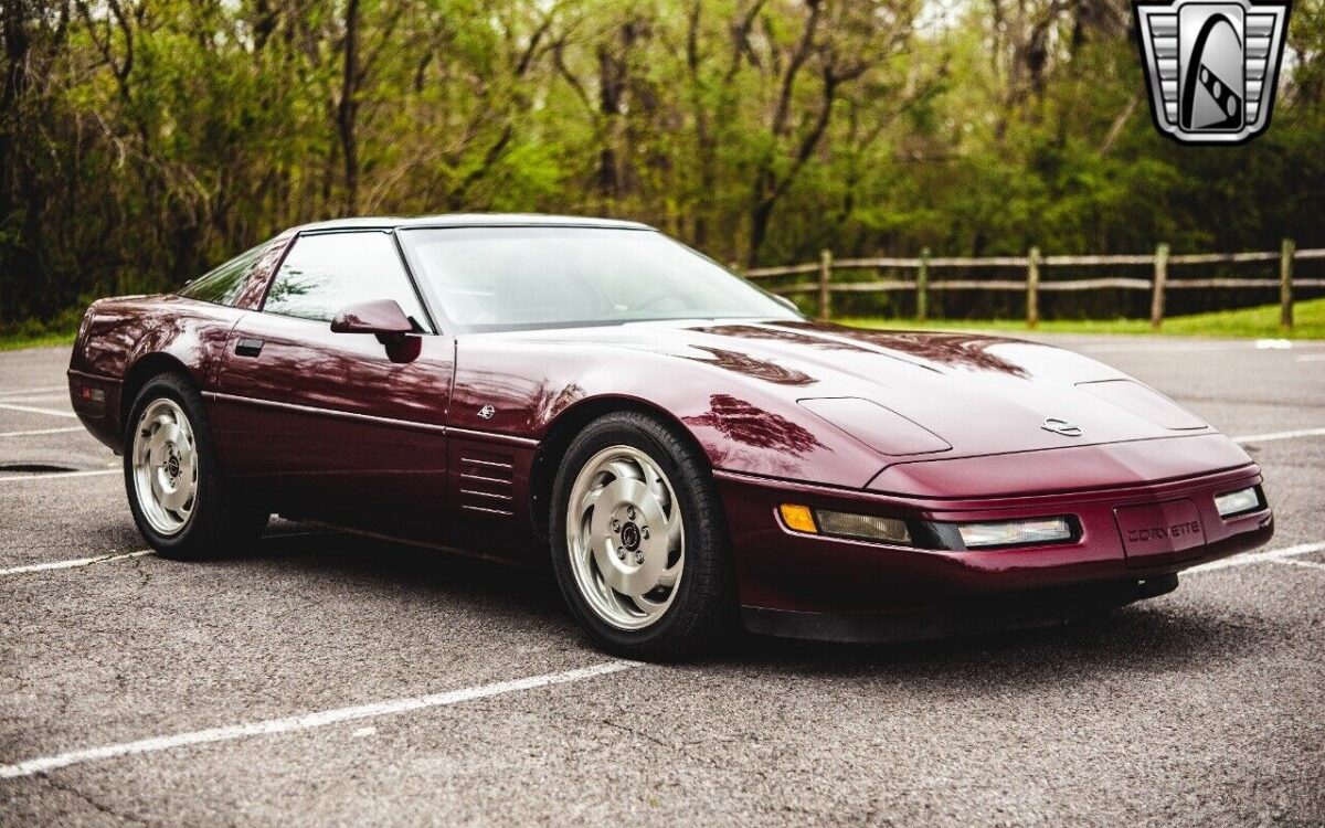 Chevrolet-Corvette-1993-9