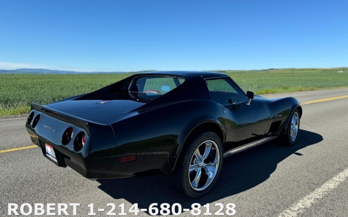 Chevrolet-Corvette-Coupe-1976-10