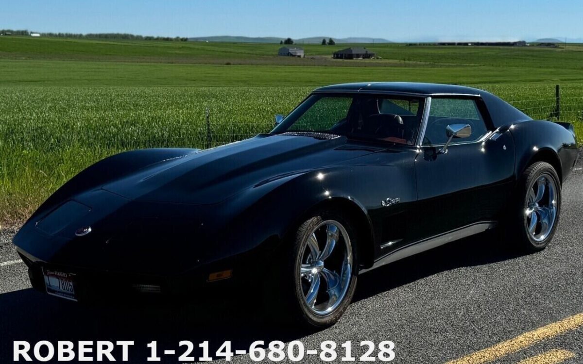 Chevrolet-Corvette-Coupe-1976-12