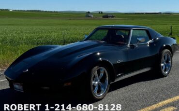 Chevrolet-Corvette-Coupe-1976-12