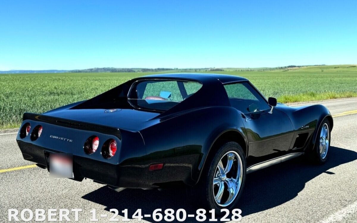 Chevrolet-Corvette-Coupe-1976-13