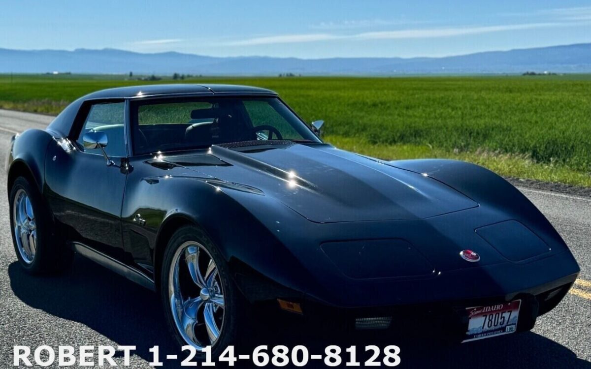 Chevrolet-Corvette-Coupe-1976-17