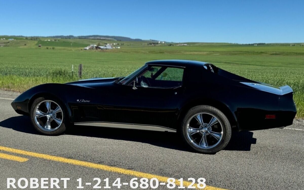 Chevrolet-Corvette-Coupe-1976-2