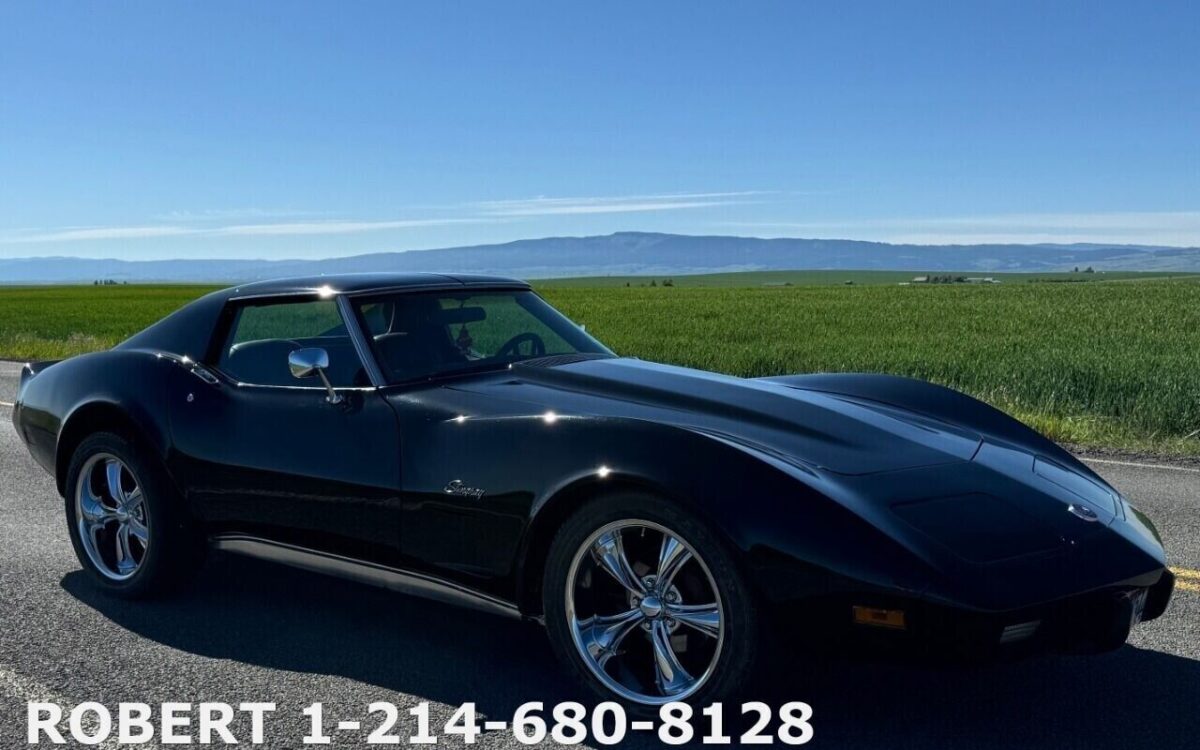 Chevrolet-Corvette-Coupe-1976-20