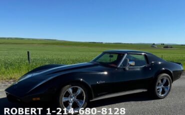 Chevrolet-Corvette-Coupe-1976-21