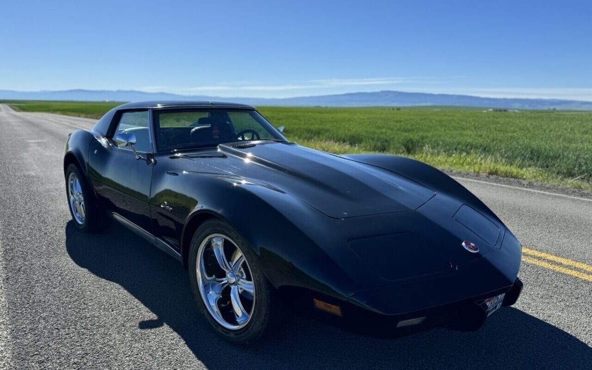 Chevrolet-Corvette-Coupe-1976-23