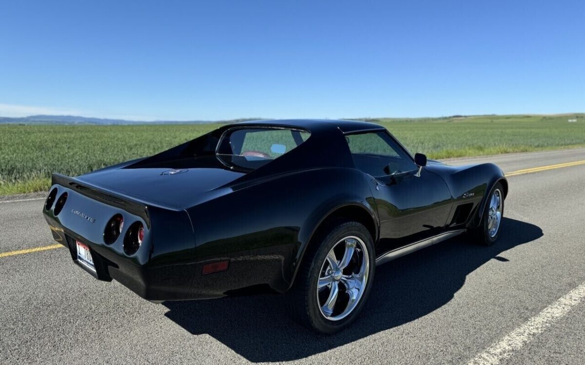 Chevrolet-Corvette-Coupe-1976-24