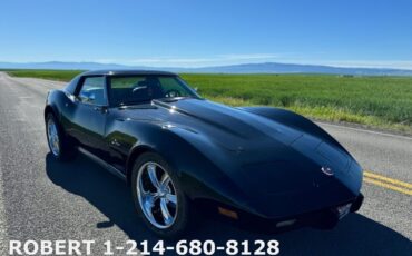 Chevrolet-Corvette-Coupe-1976-9