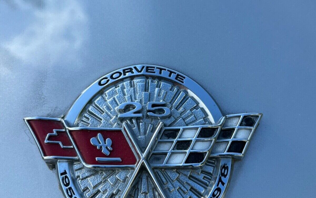 Chevrolet-Corvette-Coupe-1978-11