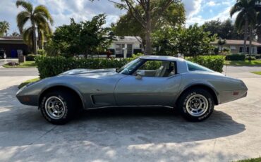 Chevrolet-Corvette-Coupe-1978-6