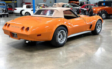 Chevrolet-Corvette-Stingray-Convertible-1974-19