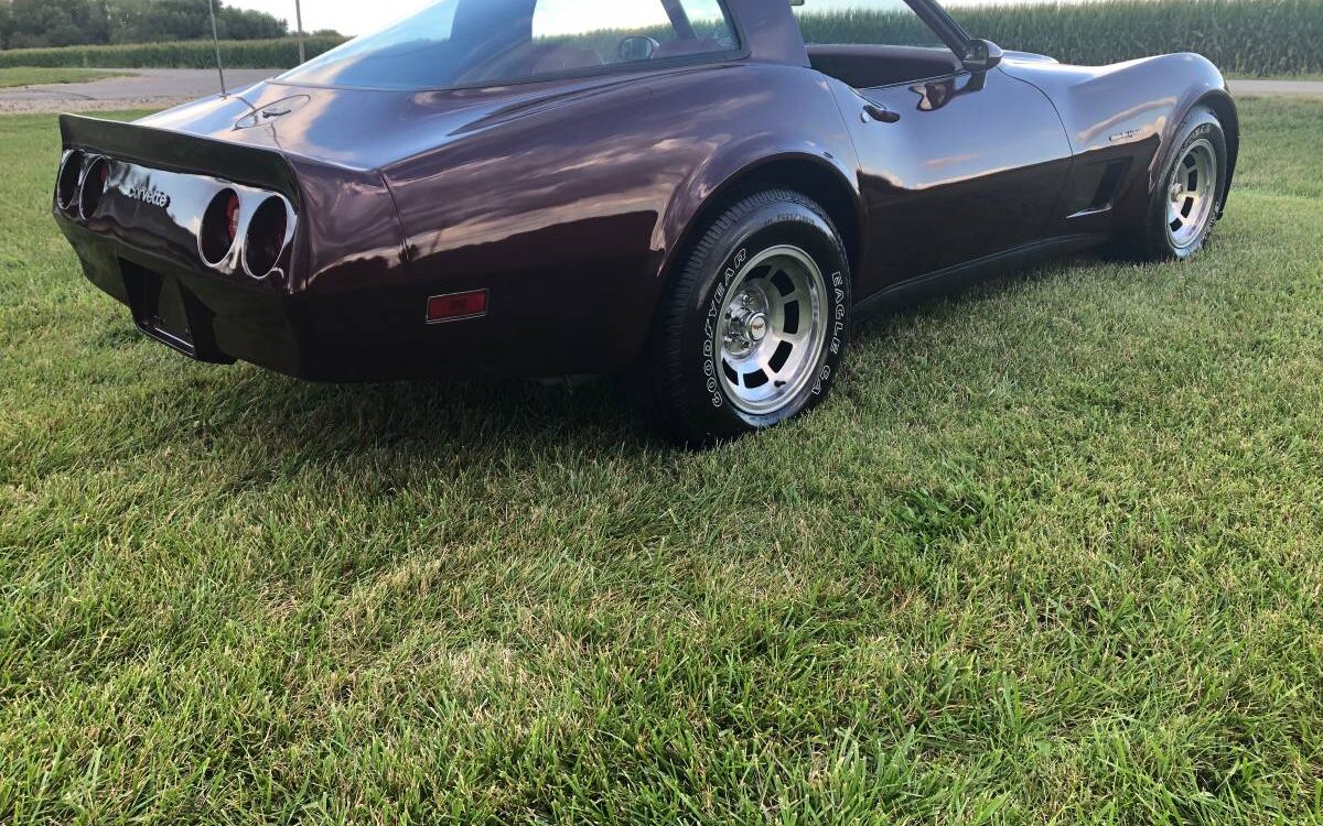 Chevrolet-Corvette-coupe-1982-5