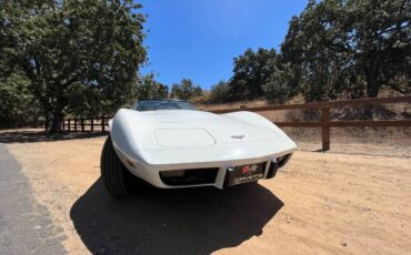 Chevrolet-Corvette-stingray-1977-1