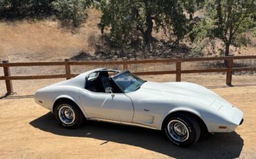 Chevrolet-Corvette-stingray-1977-12