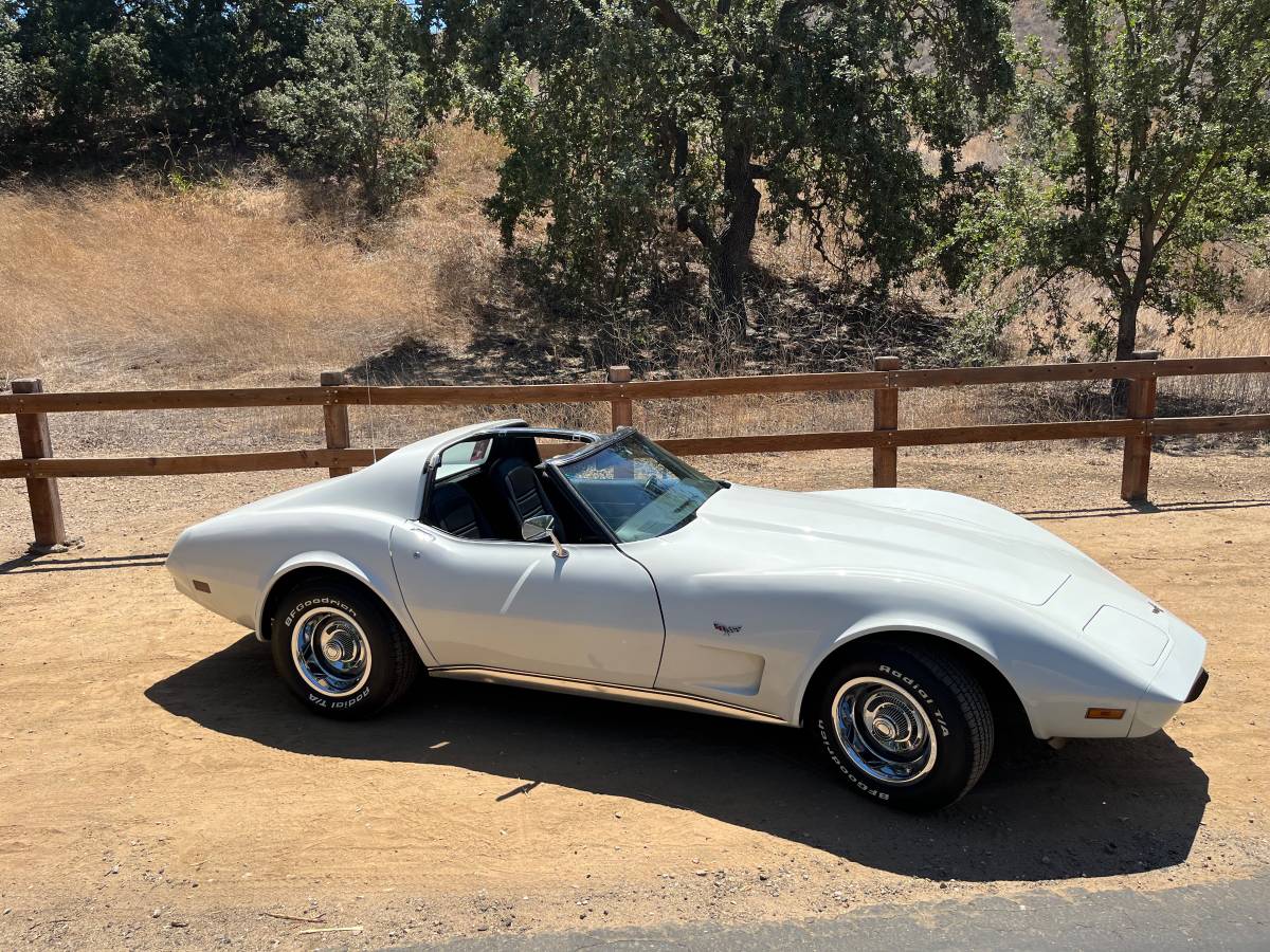 Chevrolet-Corvette-stingray-1977-12