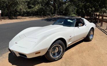 Chevrolet-Corvette-stingray-1977-3