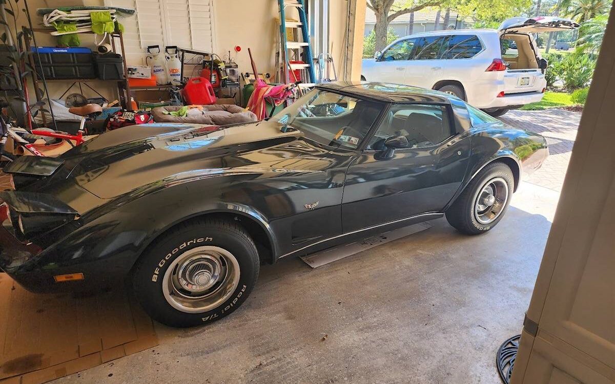 Chevrolet-Corvette-stingray-1979-3