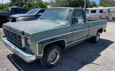 Chevrolet-Half-ton-pickup-1977-2