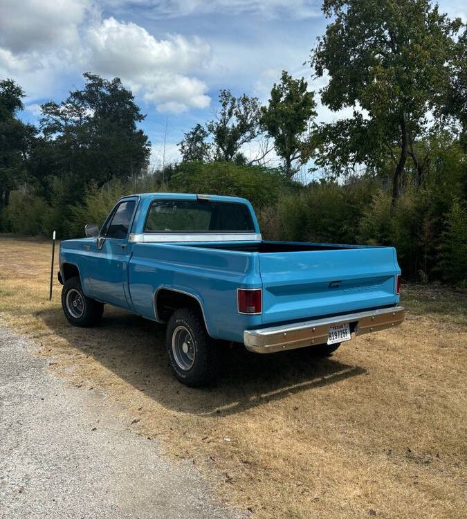 Chevrolet-K-10-1977-2