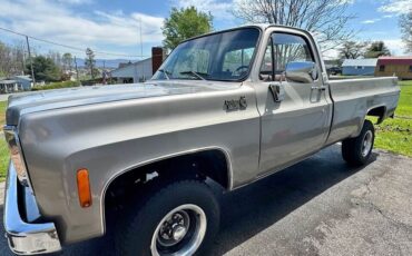 Chevrolet-K10-1978-17