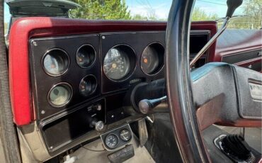 Chevrolet-K10-1978-6