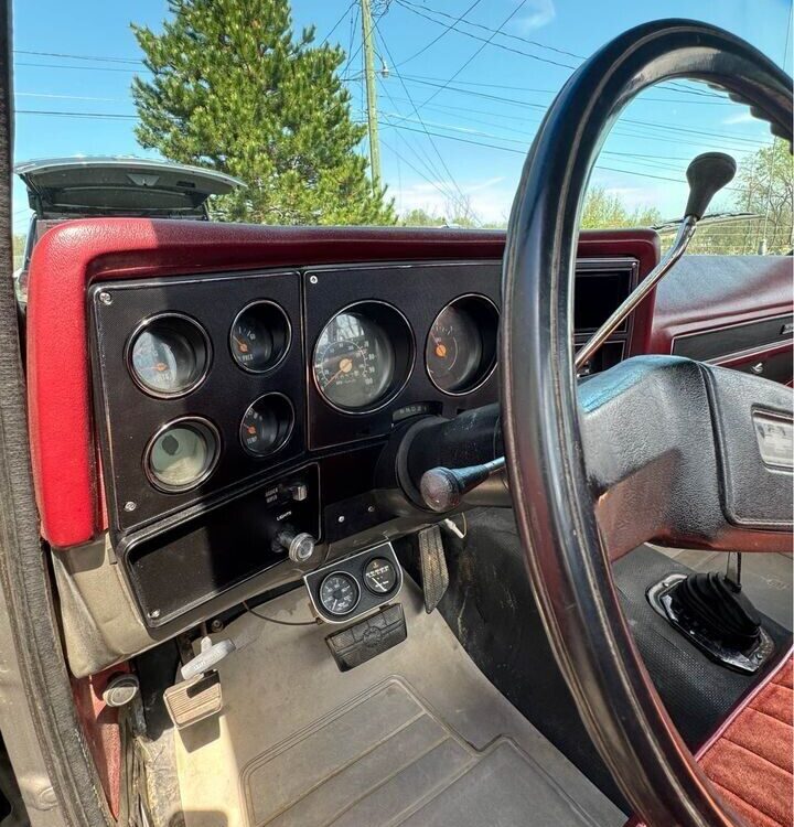 Chevrolet-K10-1978-6