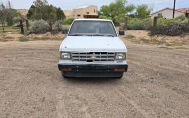 Chevrolet-S10-pickup-1984