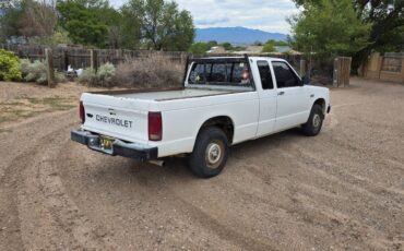 Chevrolet-S10-pickup-1984-4