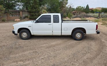 Chevrolet-S10-pickup-1984-5