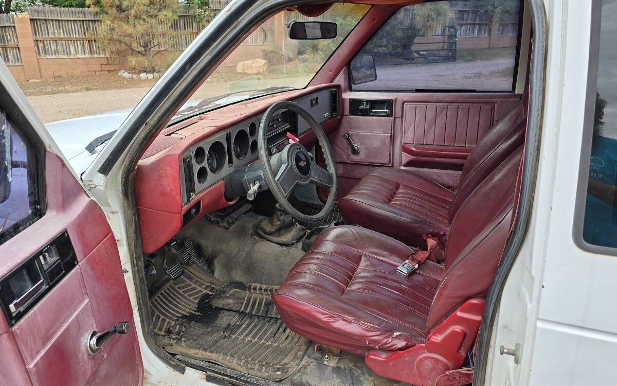 Chevrolet-S10-pickup-1984-6