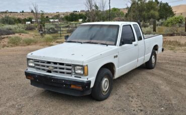 Chevrolet-S10-pickup-1984-8