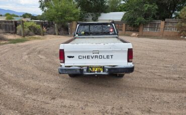 Chevrolet-S10-pickup-1984-9