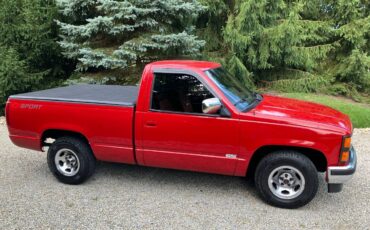 Chevrolet-Scottsdale-10-1990-19