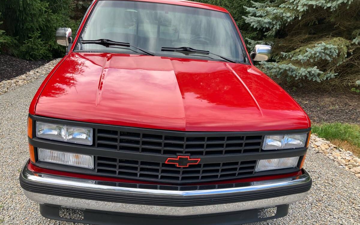 Chevrolet-Scottsdale-10-1990-3