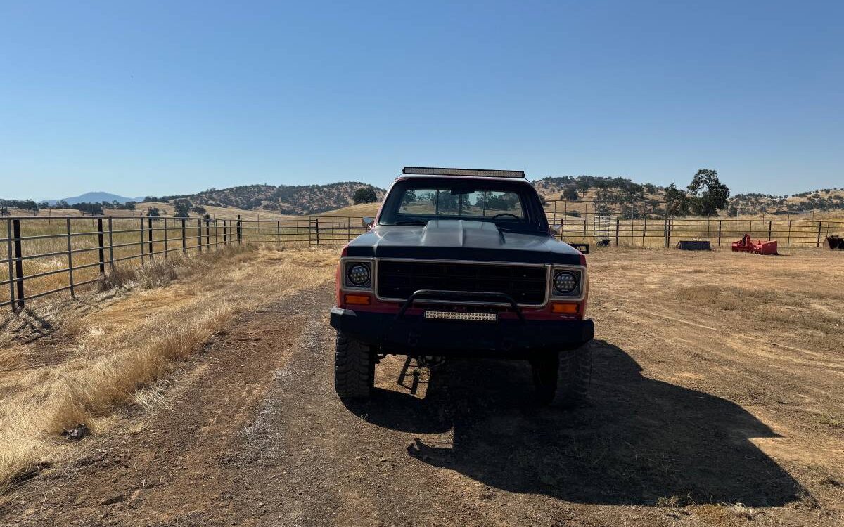 Chevrolet-Scottsdale-1978-3